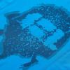 imageHUGE SPORTS Mens Splice UV Sun Protection UPF 50 Skins Rash Guard Short SleevesLogo Blue